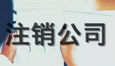 法人可以申請(qǐng)注銷公司嗎？